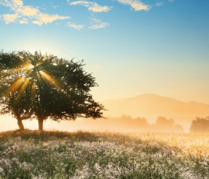 Puzzle - Heye - Jocul luminii - Puzzle panoramic