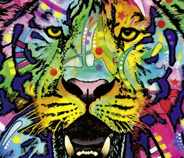 Puzzle - Heye - Tigru sălbatic