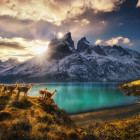 Puzzle - Heye - Guanaco