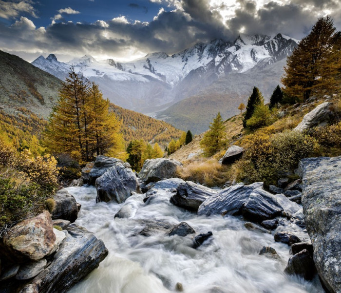 Puzzle - Heye - Pârâu montan