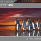 Puzzle - Heye - Pingvini regali - Puzzle panoramic
