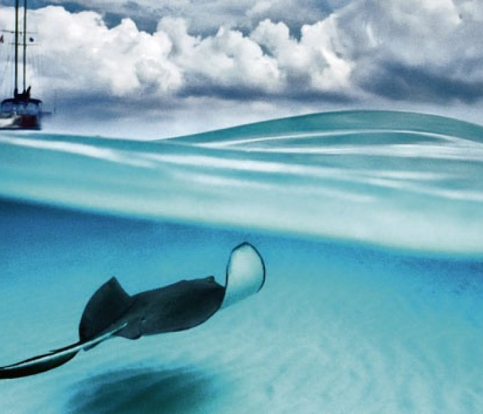 Puzzle - Heye - Raja - Puzzle panoramic