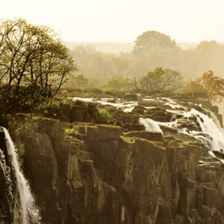 Elefant - Puzzle panoramic