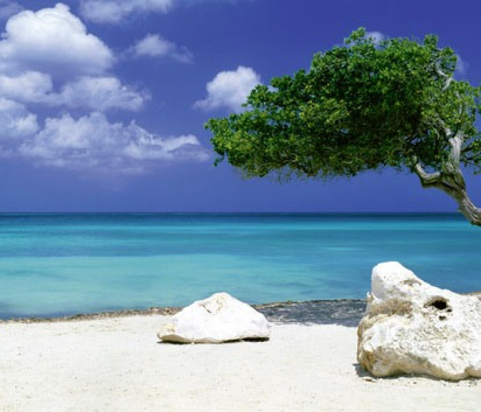 Puzzle - Heye - Copac pe plajă - Puzzle panoramic