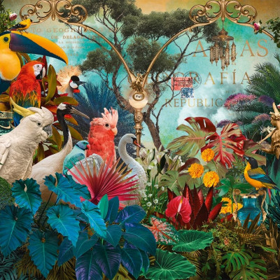 Diversitate de păsări