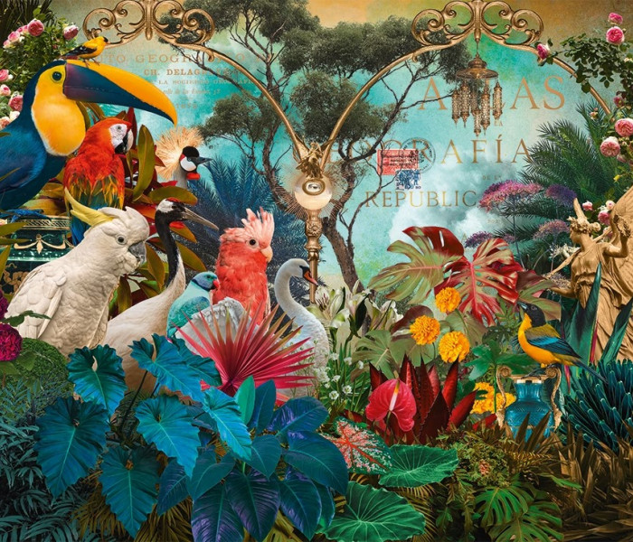 Puzzle - Heye - Diversitate de păsări