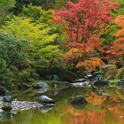 Puzzle - Heye - Reflecție zen - Puzzle panoramic