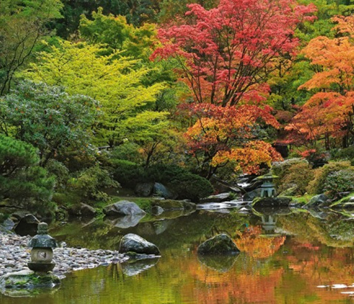 Puzzle - Heye - Reflecție zen - Puzzle panoramic