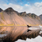 Puzzle - Heye - Cai islandezi - Puzzle panoramic