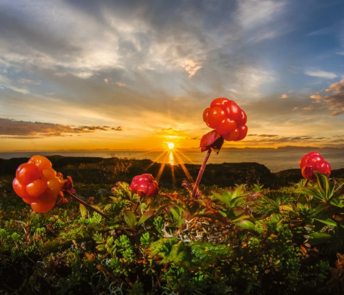 Puzzle - Heye - Mure