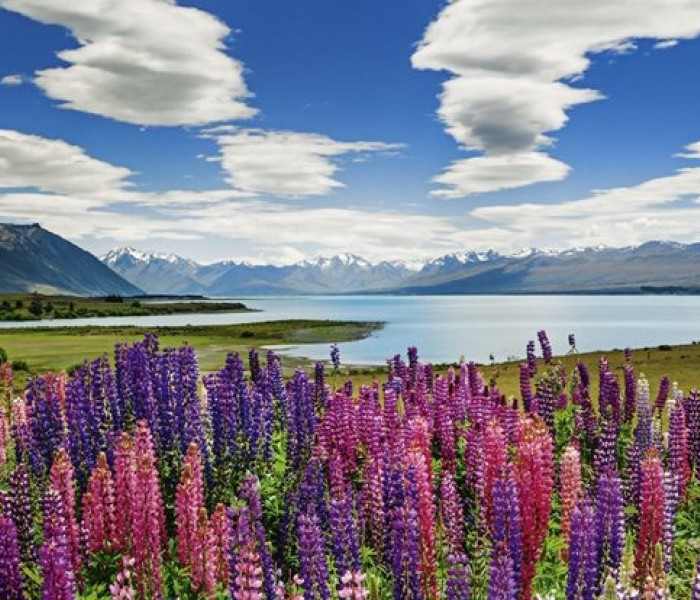 Puzzle - Heye - Lacul Tekapo, Noua Zeelandă - Puzzle panoramic