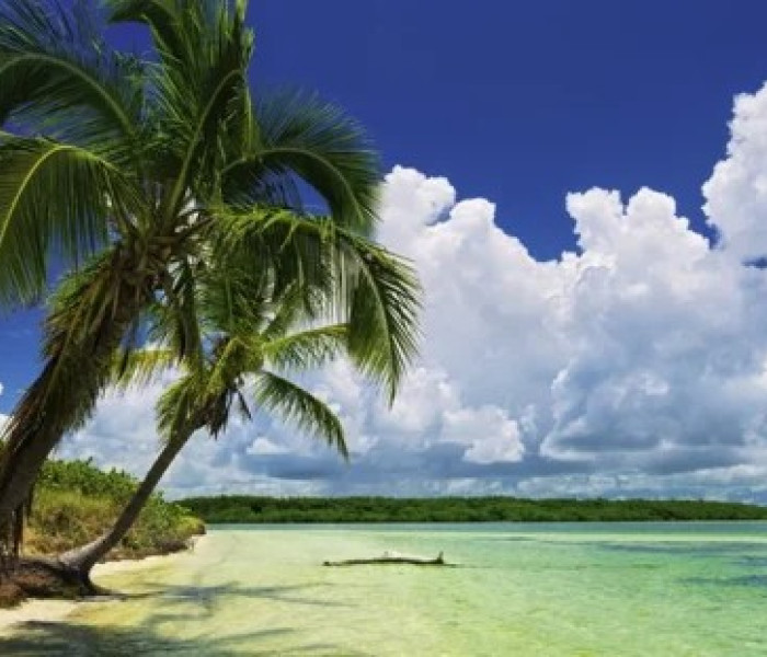 Puzzle - Heye - Rai cu palmieri - Puzzle panoramic