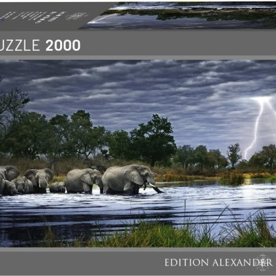 Turmă de elefanți - Puzzle panoramic