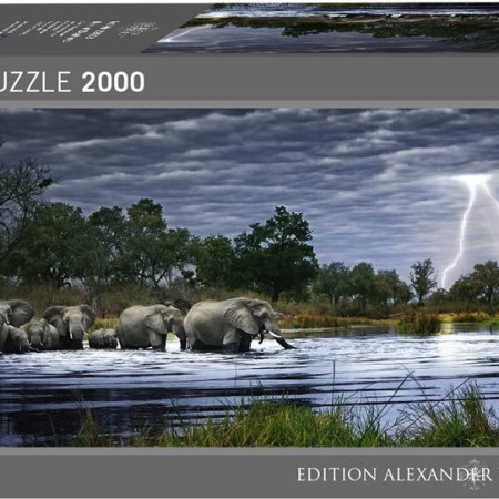 Turmă de elefanți - Puzzle panoramic