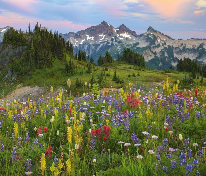 Puzzle - Heye - Munții Tatoosh