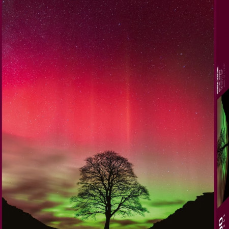 Copacul lui Robin Hood