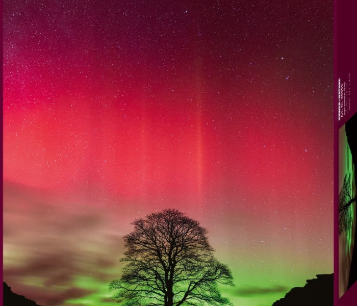 Puzzle - Heye - Copacul lui Robin Hood