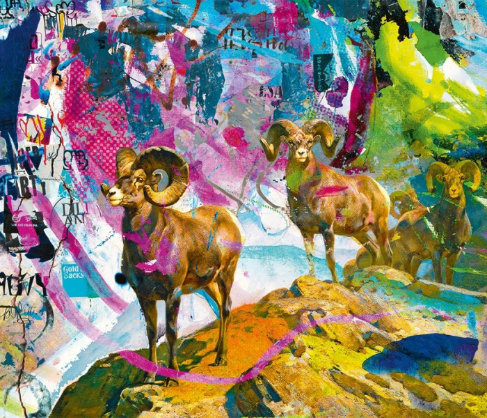 Puzzle - Heye - Coarne mari