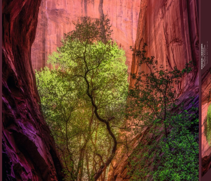 Puzzle - Heye - Canion cântător