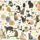 Puzzle - Jumbo - Pisici