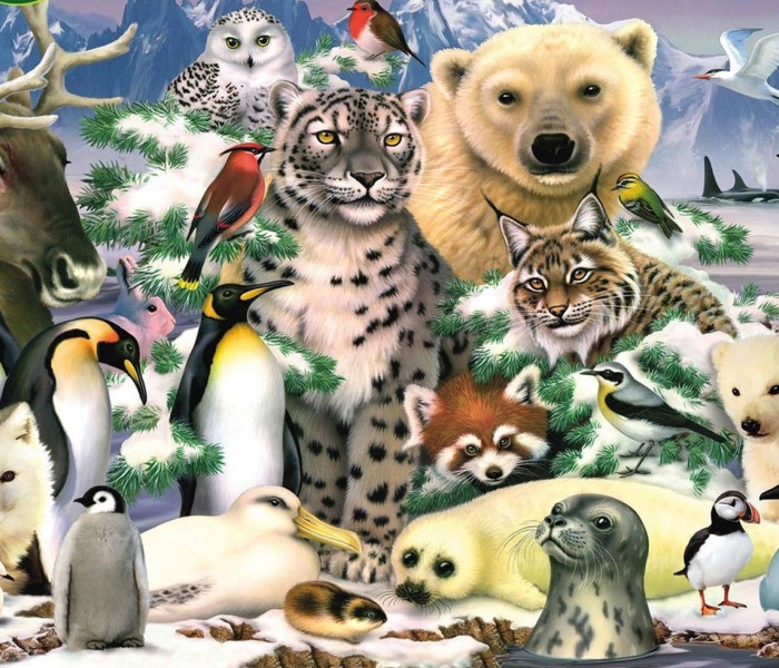 Puzzle - King - Animale polare