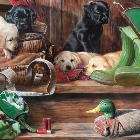 Cățeluși pe scări