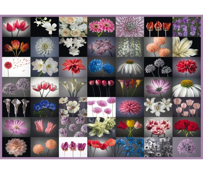 Puzzle - Schmidt - Dorință florală
