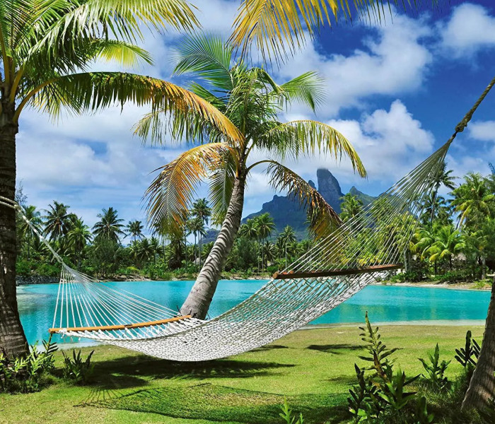 Puzzle - Schmidt - Pauză