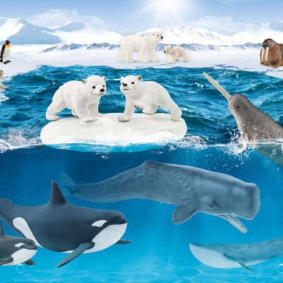 În Antarctica + figurină