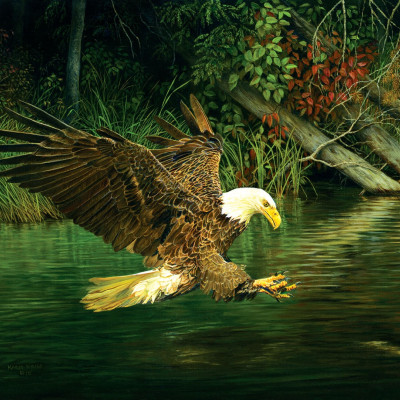 Vultur la vânătoare