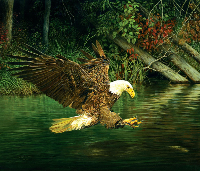 Puzzle - Sunsout - Vultur la vânătoare