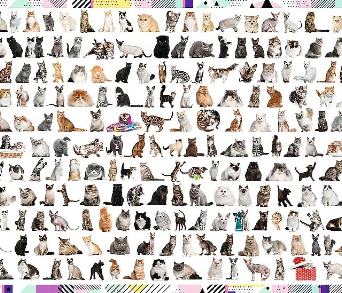 Puzzle - Trefl - 208 pisici