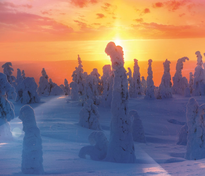 Puzzle - Trefl - Natura finlandeză