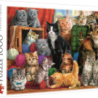 Puzzle - Trefl - Întâlnire felină