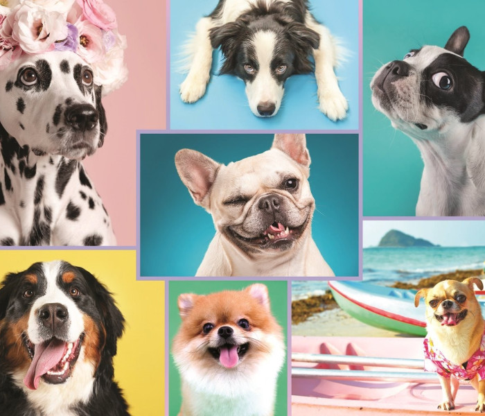 Puzzle - Trefl - Câini adorabili