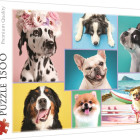 Puzzle - Trefl - Câini adorabili