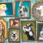 Puzzle - Trefl - Câini veseli