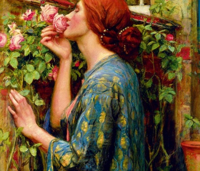 Puzzle - Bluebird - Sufletul trandafirului