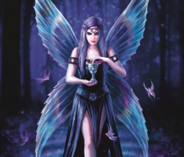 Puzzle - Bluebird - Farmec