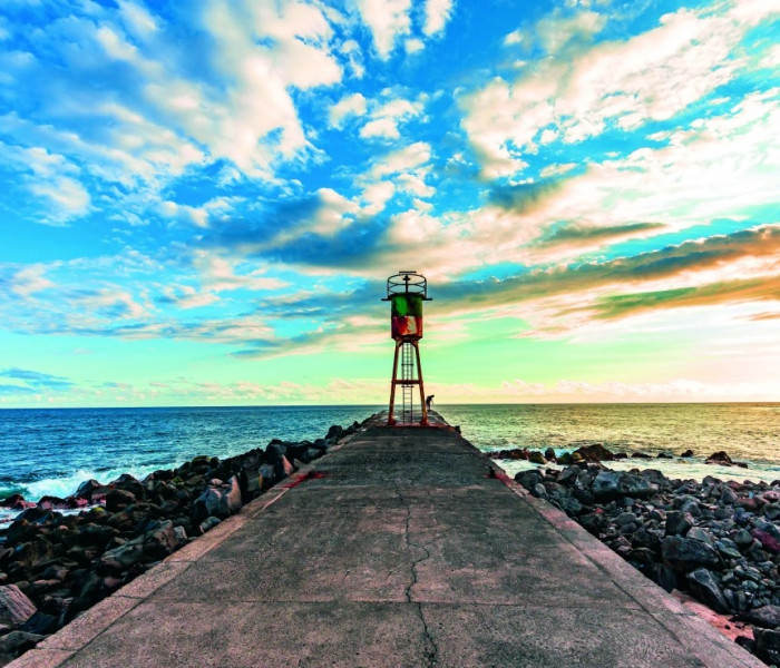 Puzzle - Bluebird - Insula Réunion, far