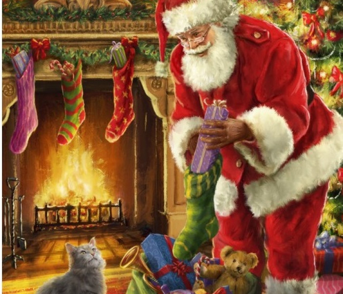 Puzzle - Bluebird - Moș Crăciun a venit