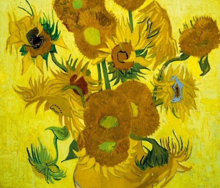 Puzzle - Bluebird - Floarea-soarelui