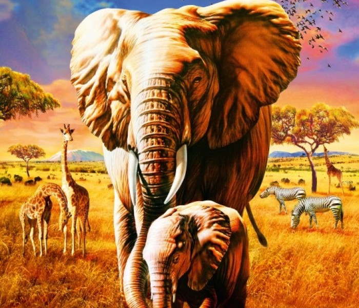 Puzzle - Bluebird - Elefanți