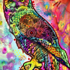 Puzzle - Bluebird - Sova