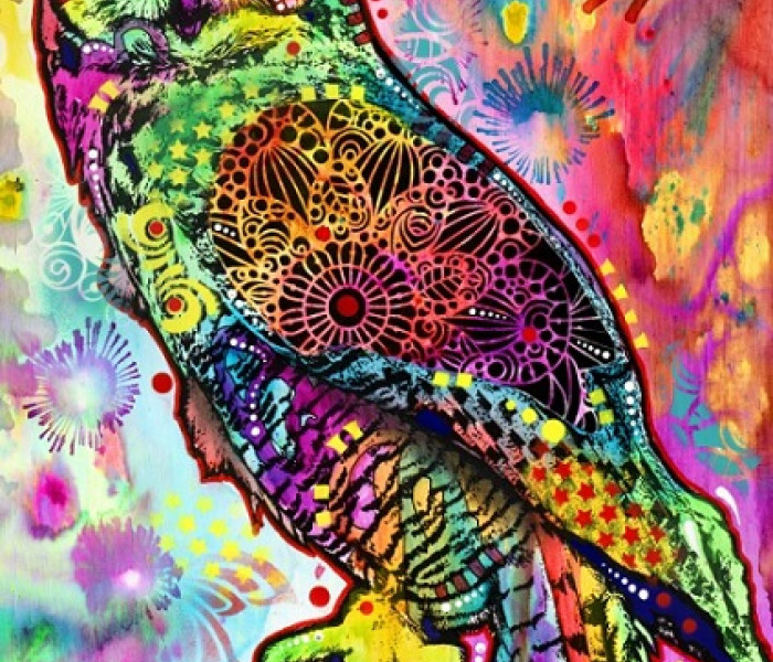 Puzzle - Bluebird - Sova