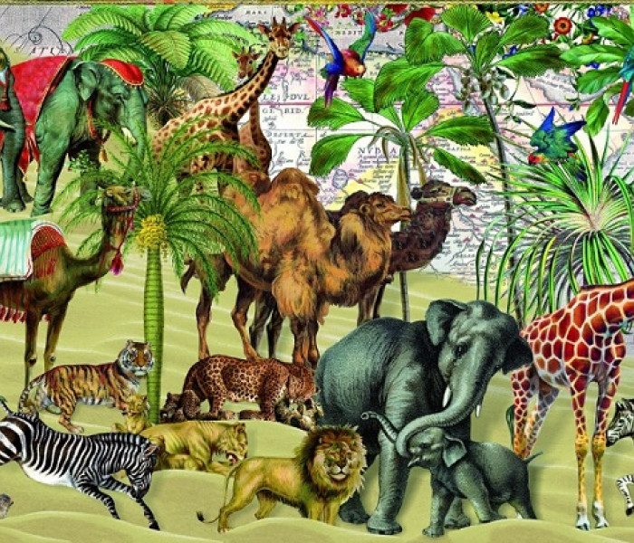 Puzzle - Bluebird - Animale în deșert