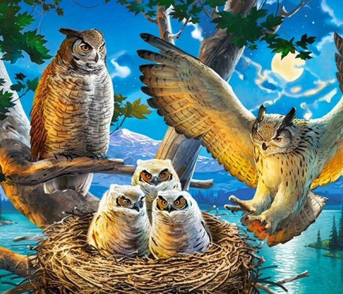 Puzzle - Castorland - Familie de bufnițe