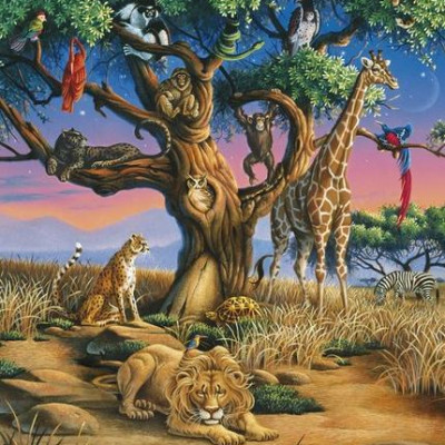 Sălbăticia africană