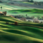 Puzzle - Clementoni - Toscana