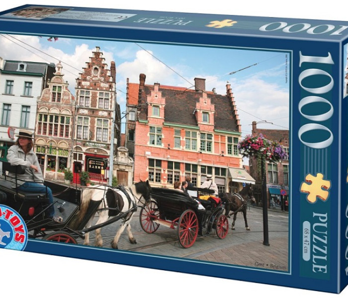 Puzzle - D-toys - Gent, Belgia